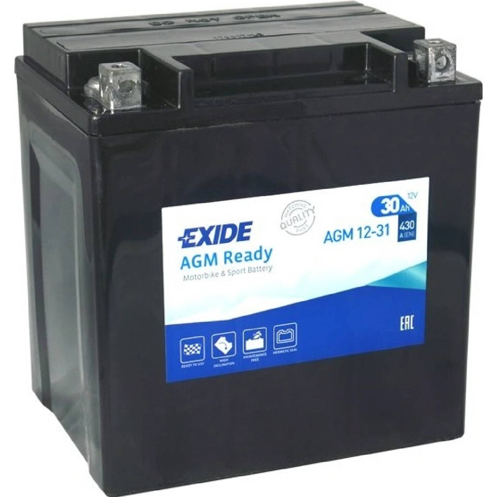 EXIDE AGM12-31
